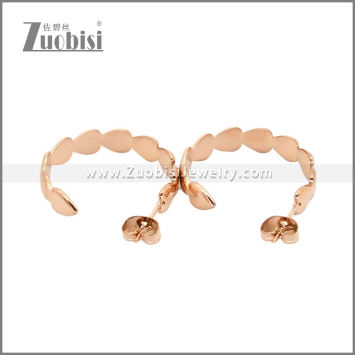 Stainless Steel Earrings e002454R