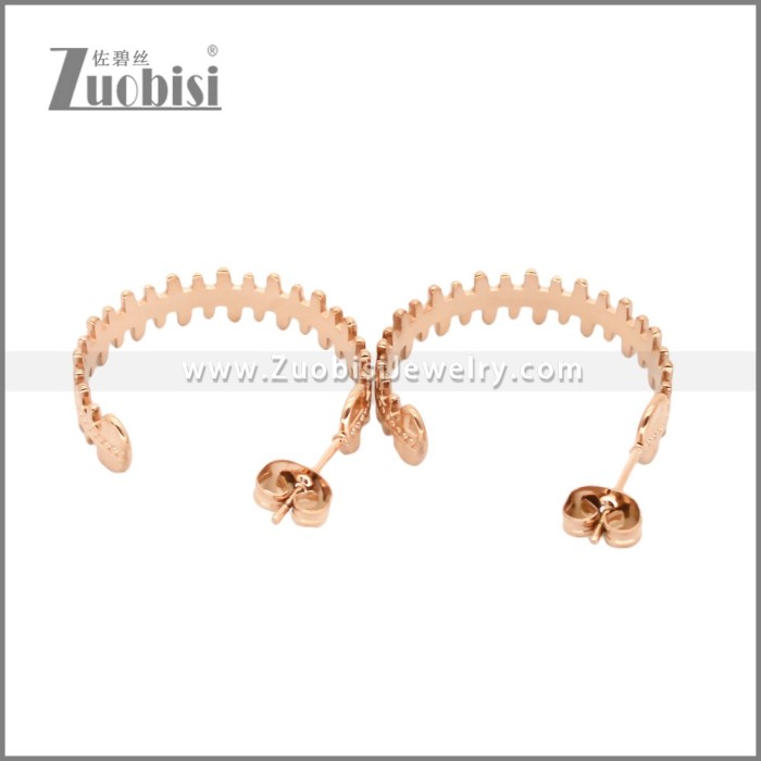 Stainless Steel Earrings e002456R