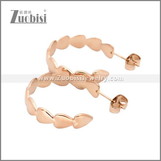 Stainless Steel Earrings e002454R