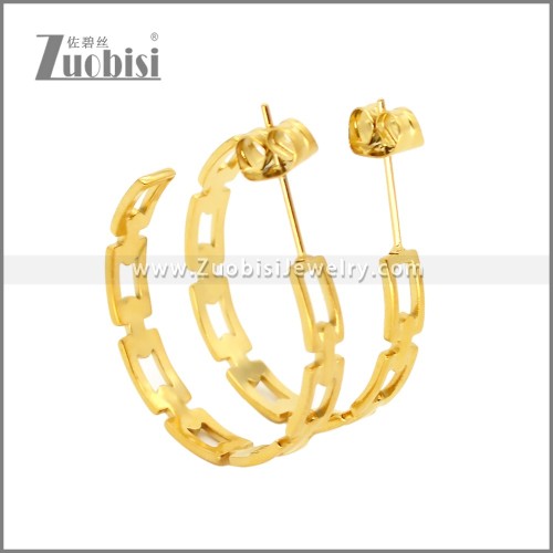 Stainless Steel Earrings e002458G
