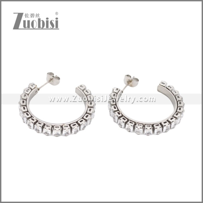 Stainless Steel Earrings e002451S