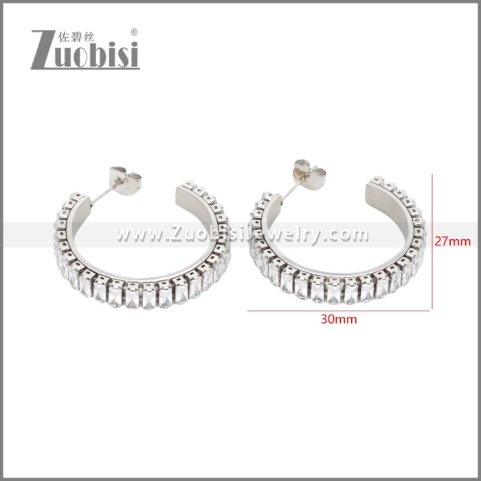 Stainless Steel Earrings e002448S