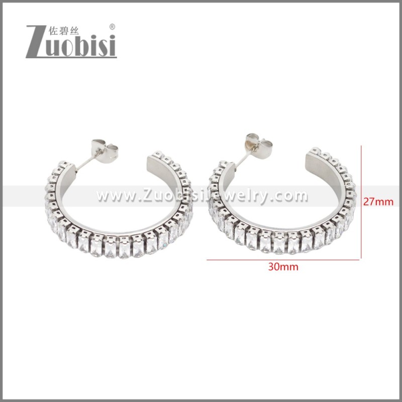 Stainless Steel Earrings e002448S