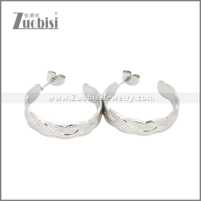 Stainless Steel Earrings e002453S