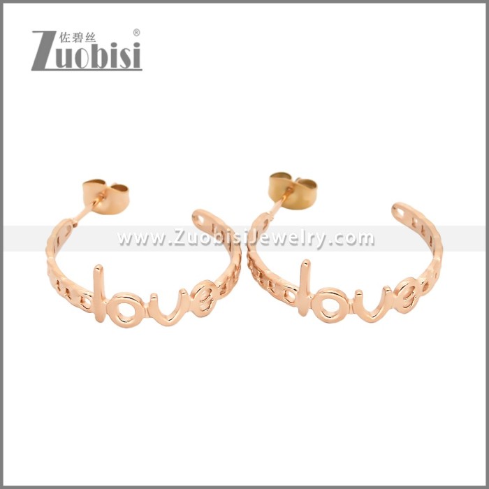 Stainless Steel Earrings e002455R