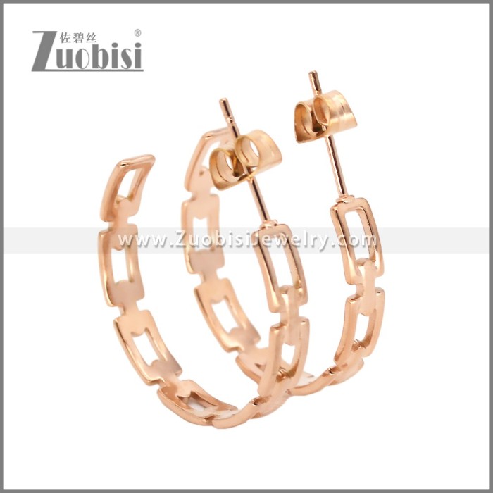 Stainless Steel Earrings e002458R