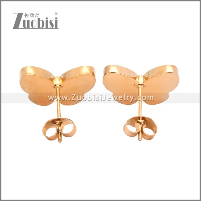 Stainless Steel Earrings e002444R