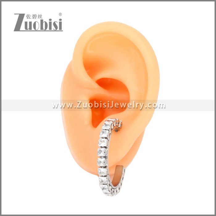 Stainless Steel Earrings e002451S
