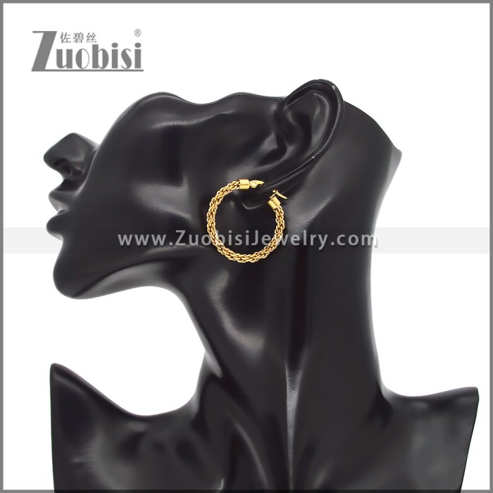 Stainless Steel Earrings e002459G