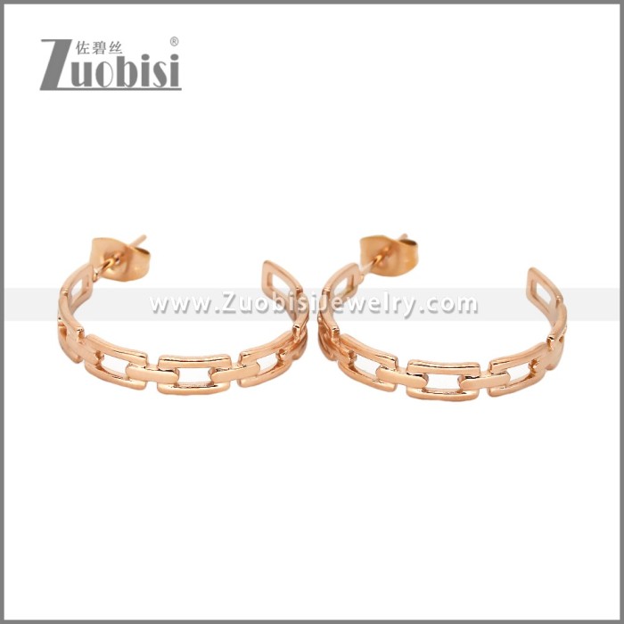 Stainless Steel Earrings e002458R