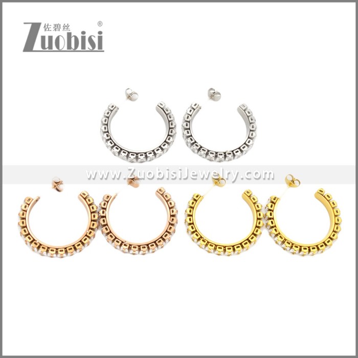 Stainless Steel Earrings e002451S