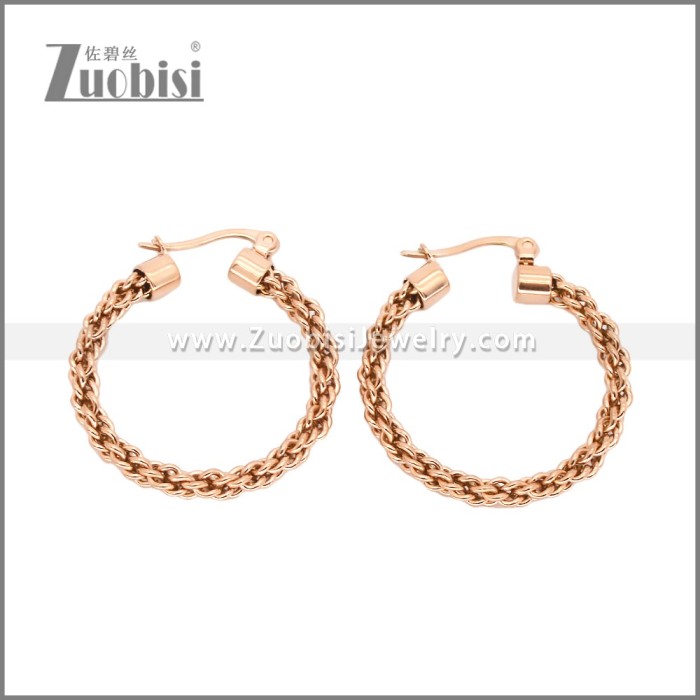 Stainless Steel Earrings e002459R
