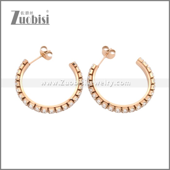 Stainless Steel Earrings e002447R