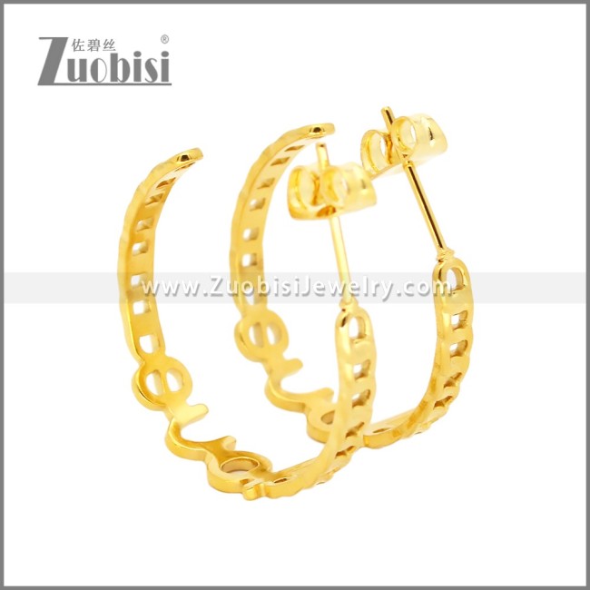 Stainless Steel Earrings e002455G