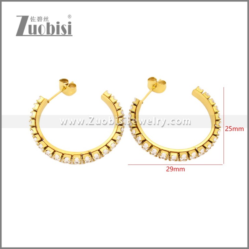 Stainless Steel Earrings e002447G