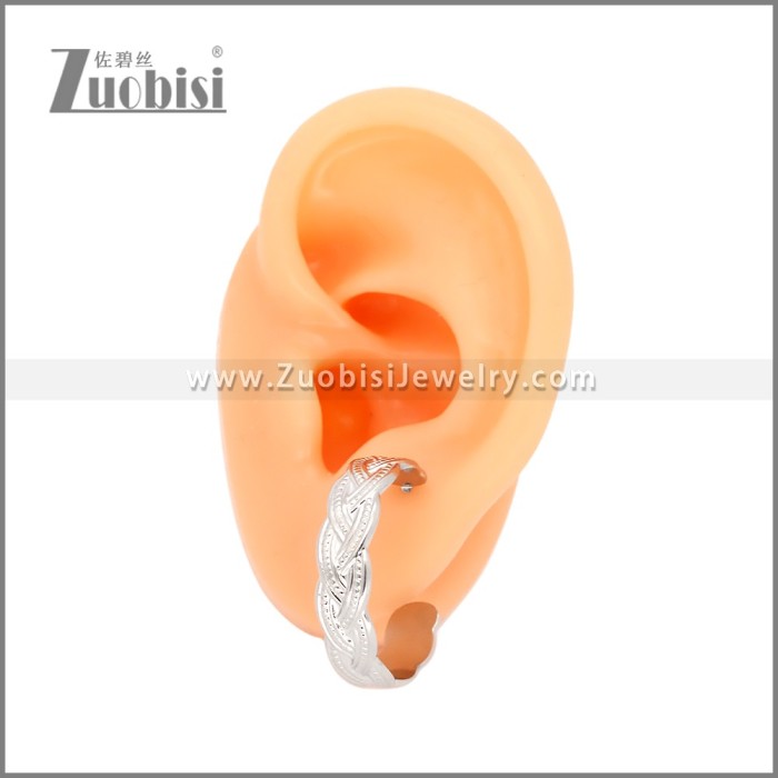 Stainless Steel Earrings e002454S
