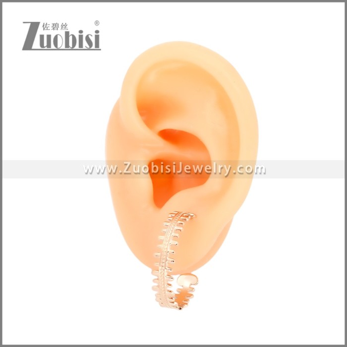 Stainless Steel Earrings e002456R