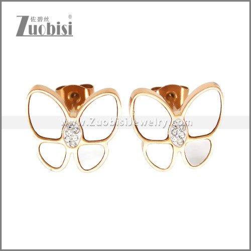 Stainless Steel Earrings e002444R