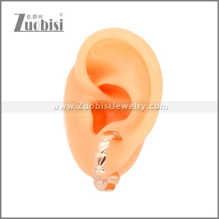Stainless Steel Earrings e002454R