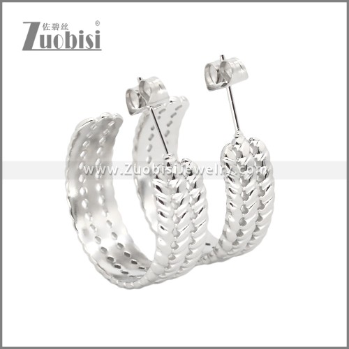 Stainless Steel Earrings e002457S