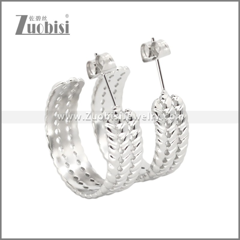 Stainless Steel Earrings e002457S