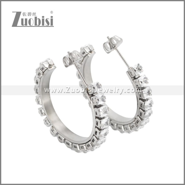 Stainless Steel Earrings e002451S