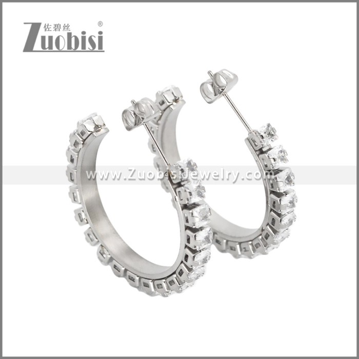 Stainless Steel Earrings e002451S