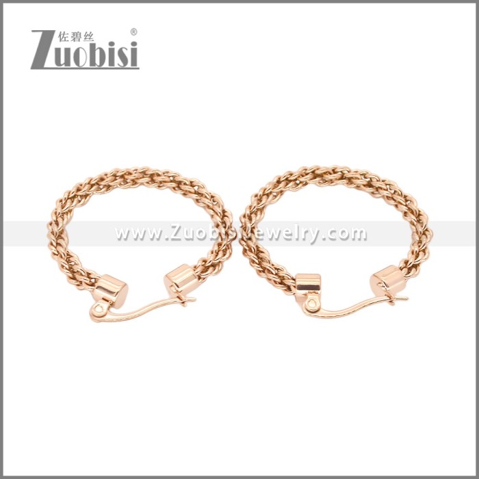 Stainless Steel Earrings e002459R