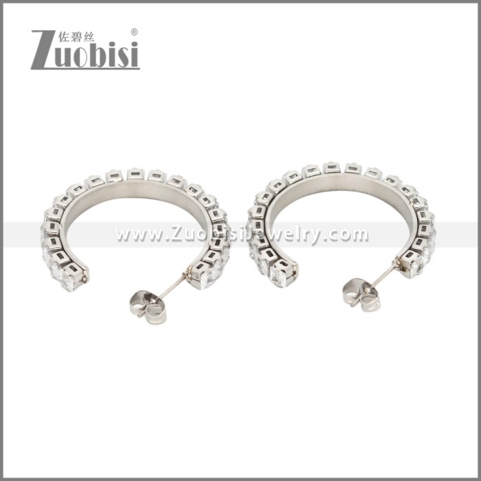 Stainless Steel Earrings e002451S
