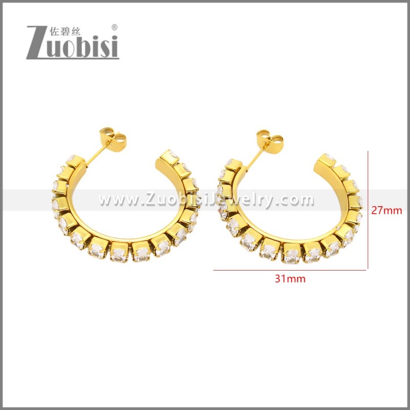Stainless Steel Earrings e002449G