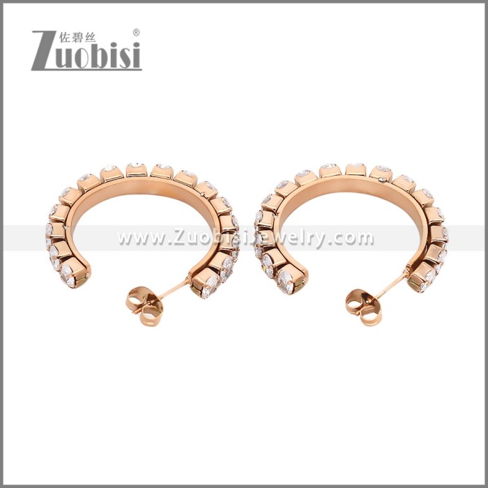 Stainless Steel Earrings e002449R