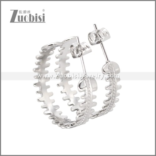 Stainless Steel Earrings e002456S