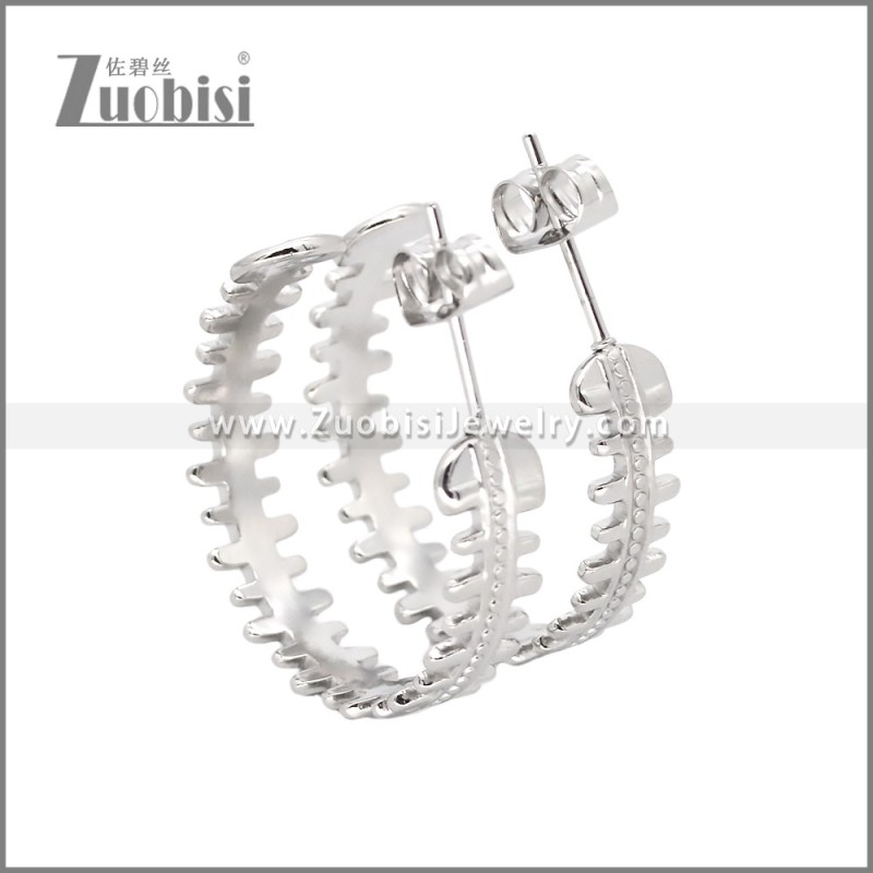 Stainless Steel Earrings e002456S