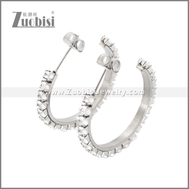 Stainless Steel Earrings e002447S