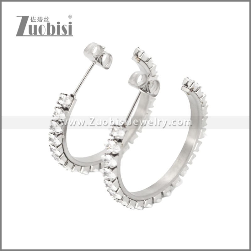 Stainless Steel Earrings e002447S