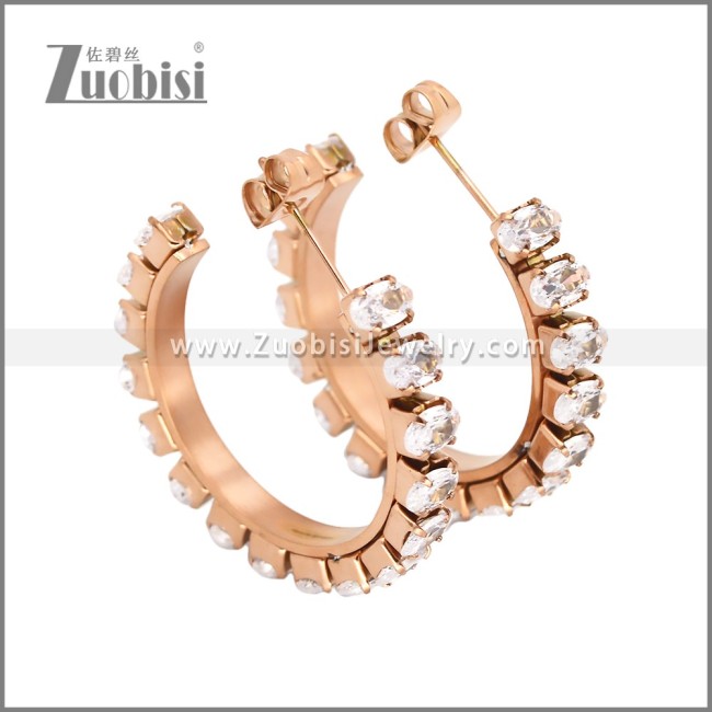 Stainless Steel Earrings e002449R