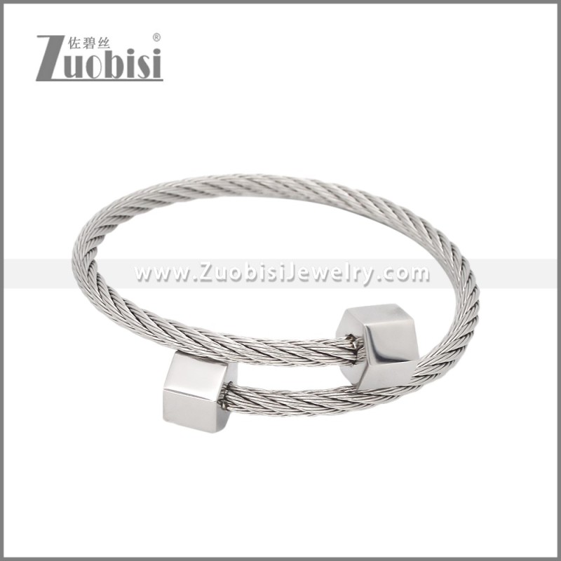 Stainless Steel Bangles b010574S