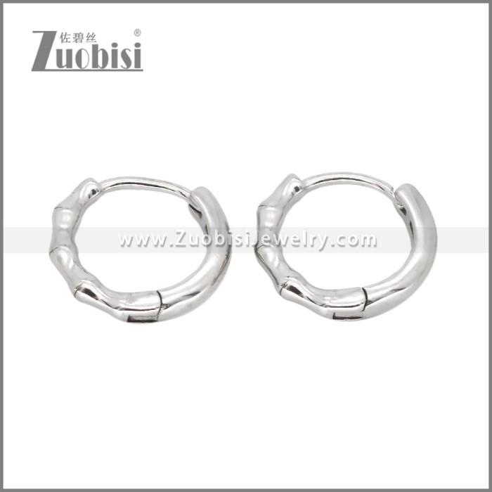 Stainless Steel Earrings e002472