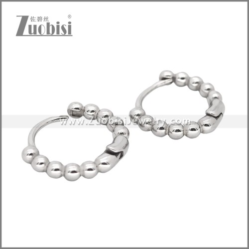 Stainless Steel Earrings e002468