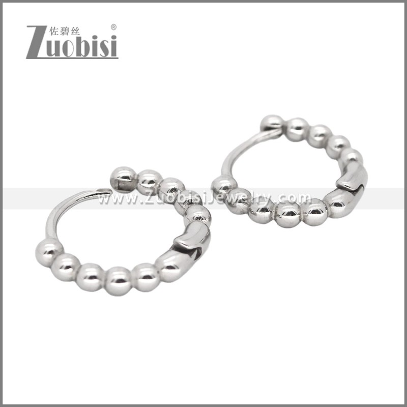 Stainless Steel Earrings e002468
