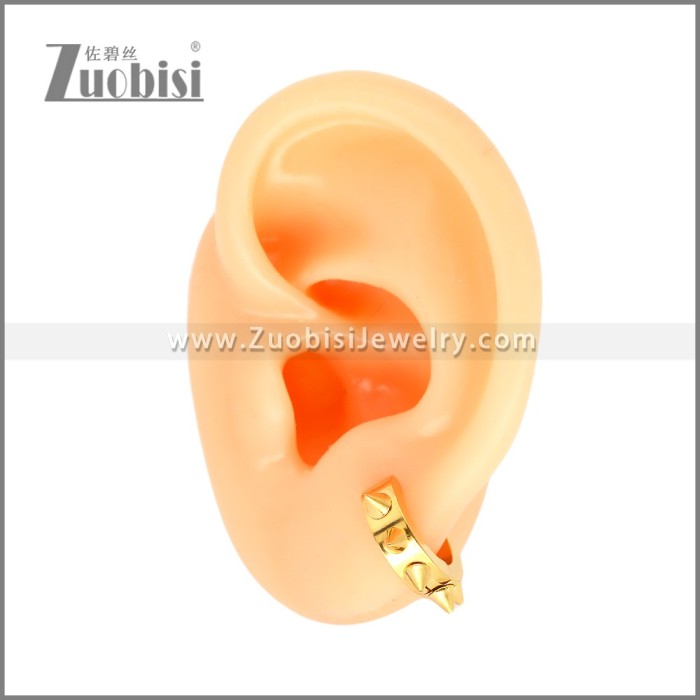 Stainless Steel Earrings e002482G