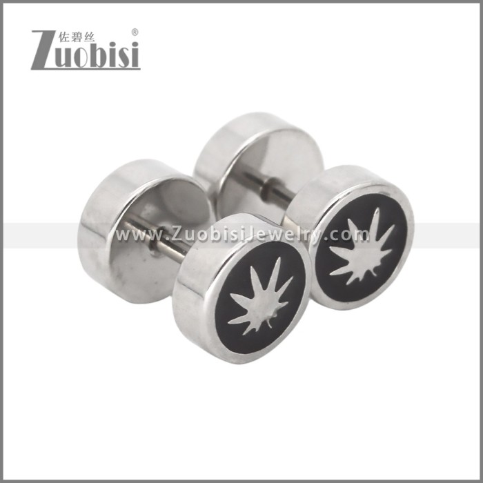 Stainless Steel Earrings e002484S2