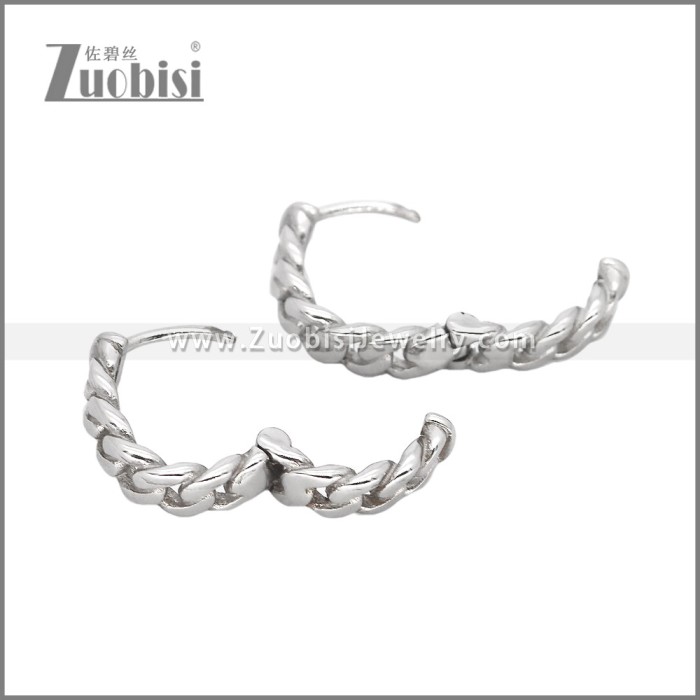 Stainless Steel Earrings e002469