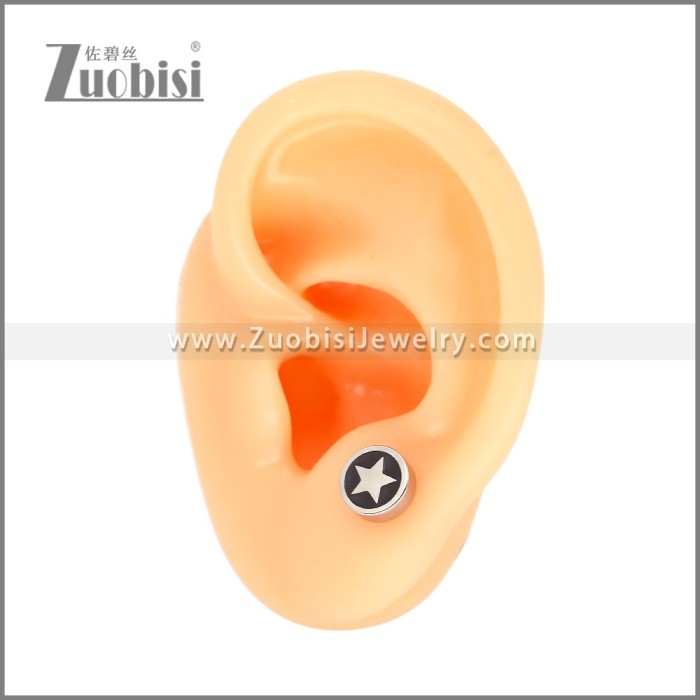 Stainless Steel Earrings e002484S5