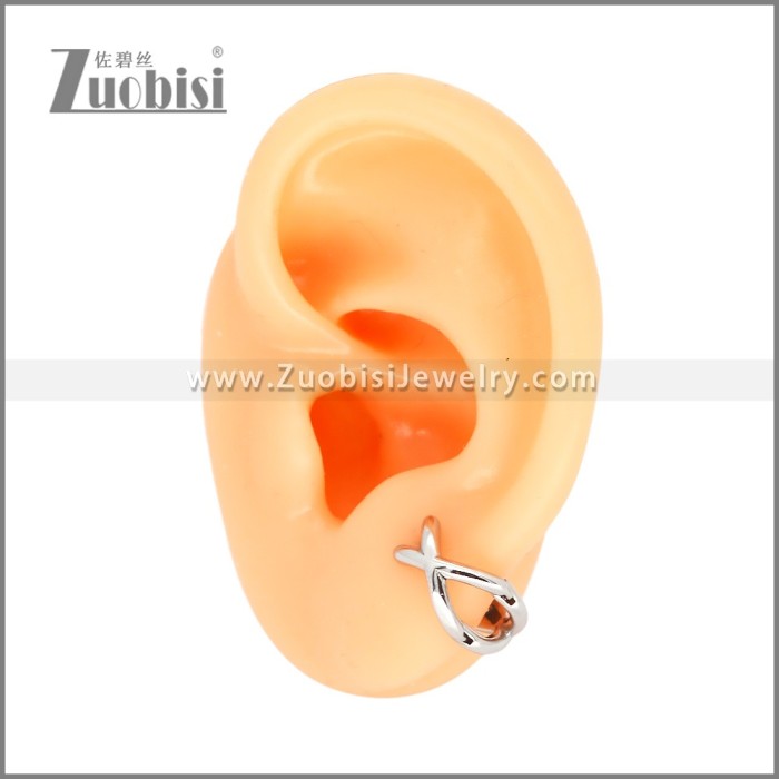 Stainless Steel Earrings e002461S