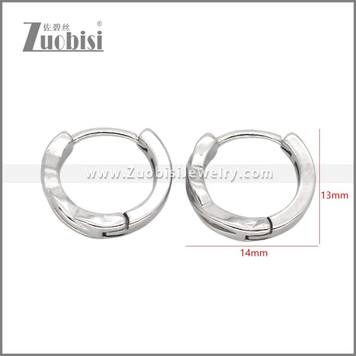 Stainless Steel Earrings e002467