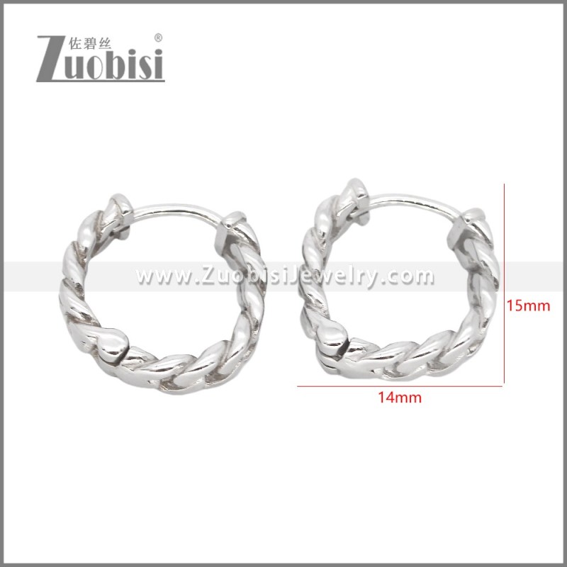 Stainless Steel Earrings e002469
