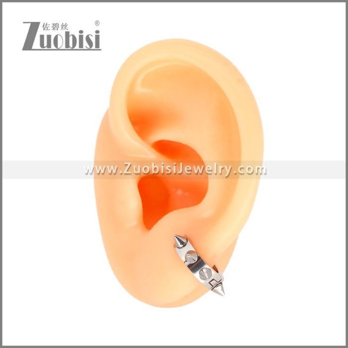 Stainless Steel Earrings e002482S