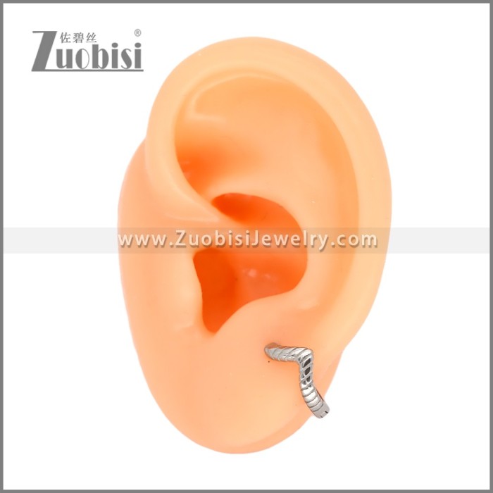 Stainless Steel Earrings e002470