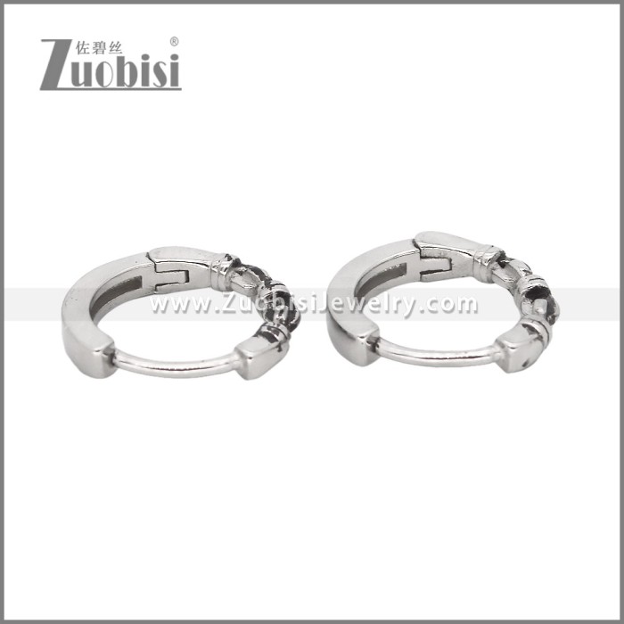 Stainless Steel Earrings e002463